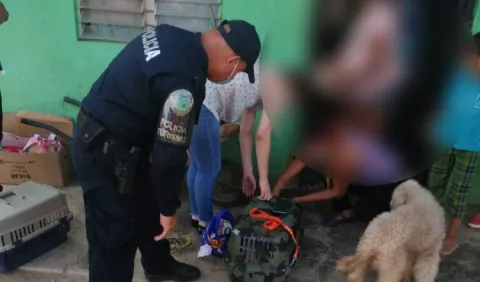 Unas 247 denuncias por delitos ambientales registra el Ministerio Público hasta julio