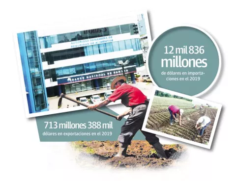 Reemplazo de la Aupsa no complace a productores 