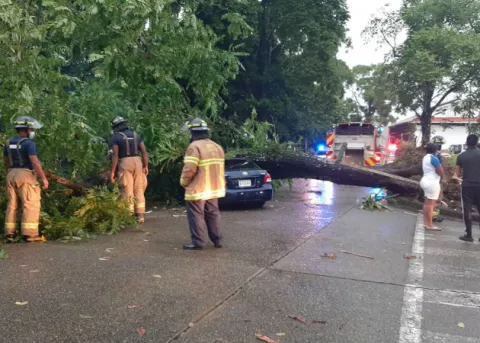 Tras fuertes lluvias, gente atrapada, caída de árboles, daños eléctricos y voladura de techos 