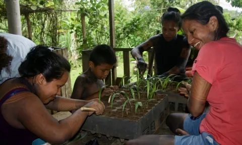 'Guardianes de la Madre Tierra' en Piratí