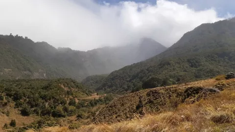 Autoridades de MiAmbiente niegan incendios de masa vegetal en áreas protegidas en Chiriquí