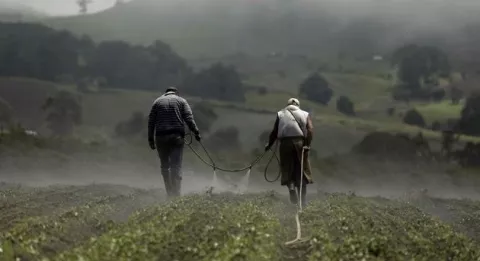 Instituto Interamericano de Cooperación para la Agricultura pide proteger la producción de alimentos
