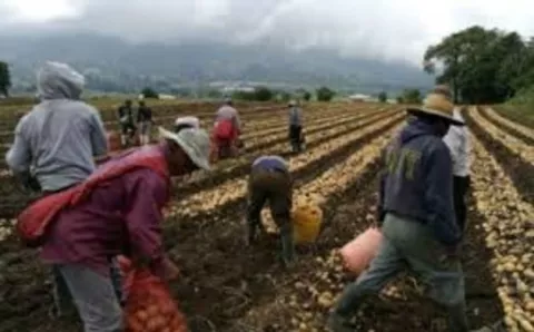 Crearán subcomisión de investigación en la Asamblea Nacional para combatir contrabando de productos "Ticos"