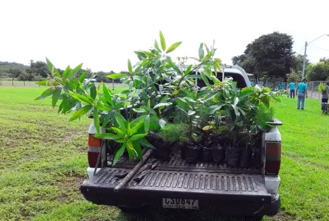 Realizan jornada de reforestación en Las Guías