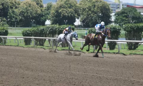 Simulan carreras de caballo para evaluar protocolo de bioseguridad en el Hipódromo Presidente Remón