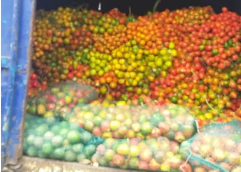 Hasta pixbae y limones procedentes de Costa Rica, decomisa Aduanas en Chiriquí