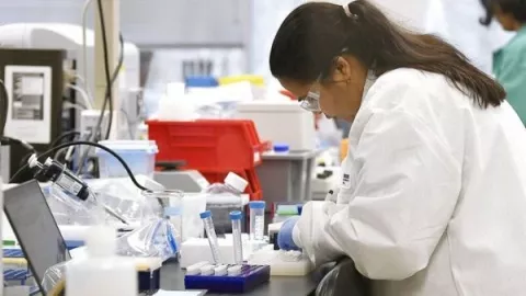 Cerca de 600 personas se han puesto a disposición para las pruebas de la vacuna contra la COVID-19 en Panamá