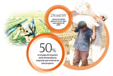 Agroparques, la nueva apuesta para los productores panameños