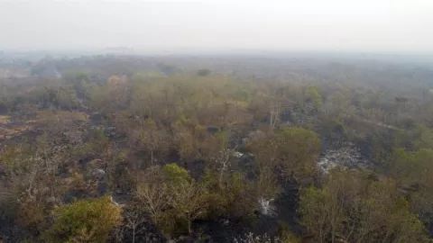 Amazonía celebra su día cercada por el fuego y las promesas de Bolsonaro