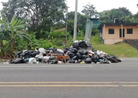 Ante deficiente recolección de la basura surgen 'pataconcitos' en corregimientos de Colón 