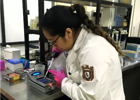Científicos descubren enzima que puede llegar a utilizarse para atacar el cáncer