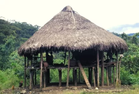Casas de tambo: las viviendas ancestrales que han cambiado su estilo tradicional