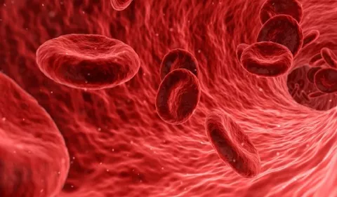 Concientización sobre los cánceres en la sangre