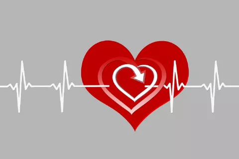 Día Mundial de Corazón: Enfermedades que afectan a este músculo 
