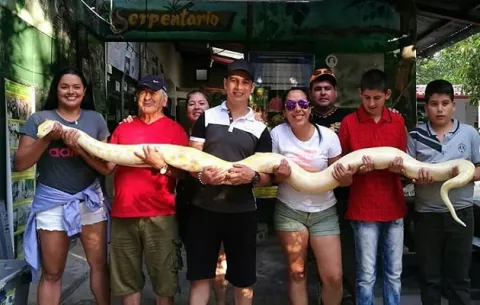 Serpentario de Antón pide ayuda para alimentar a sus animales, mientras se prepara para reabrir