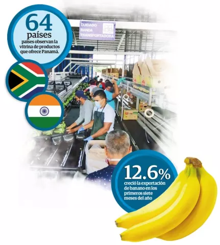 Exportaciones caen, pero miran hacia la India y Sudáfrica