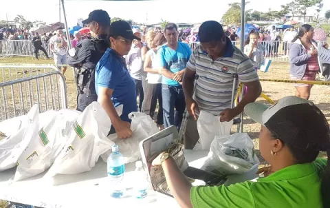 Gobierno distribuirá jamones este año de manera gratuita 
