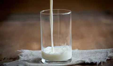 Día Mundial de la Leche Escolar: Un alimento aliado de la educación