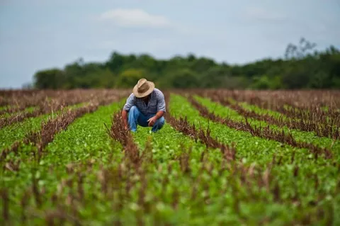 México defenderá el  acceso de los productos agrícolas a Estados Unidos