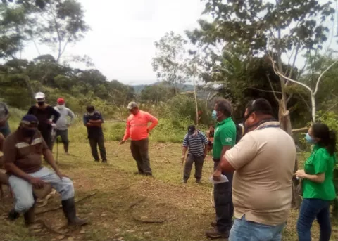 Trabajos agrícolas efectuaban en área reforestada de Cerro Galera en Arraiján  