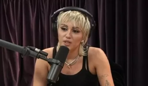 Miley Cyrus dijo que su divorcio 'fue un asco'