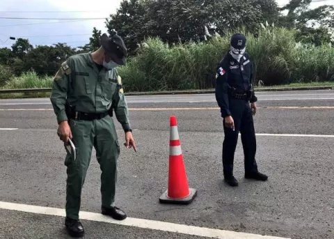 Policía investiga atropello mortal de los perros Papache, Guchi y Chombo en Nuevo San Juan