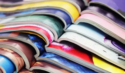 Estudio reveló que 176 revistas académicas han desaparecido de Internet