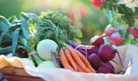 '#SinDesperdicioCentroamérica': Concurso que busca soluciones innovadoras para reducir la pérdida de alimentos