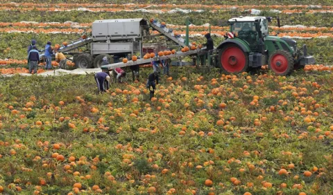 EE.UU. apuesta a la  innovación en el  progreso agroalimentario