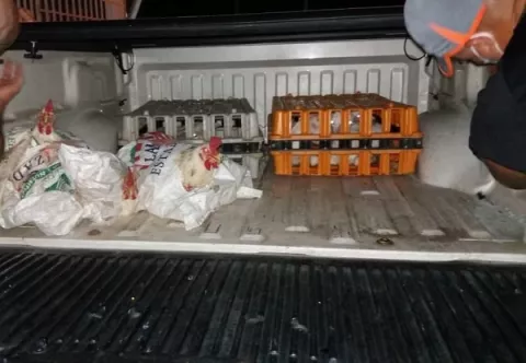 Policía Nacional rescata animales usados para rituales en San Miguelito