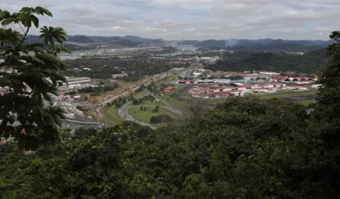 Más de ocho mil hectáreas de bosques pierde Panamá cada año