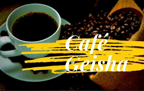 Café Geisha: Los secretos del café panameño que rompe récord en precios y se ubica como el mejor del mundo