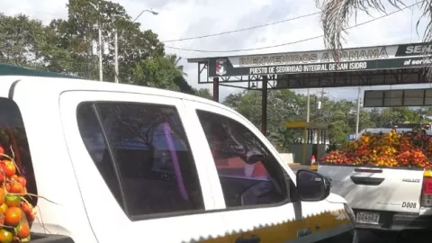 Autoridades de aduanas decomisan 100 cabezas de pixbae en el puesto de control de San Isidro en Paso Canoas