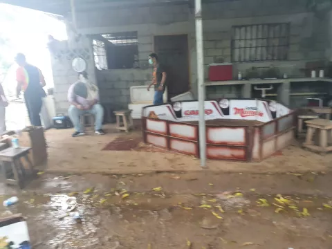 Desarticulan gallera clandestina, fiestas y parrandas virtuales en Chitré