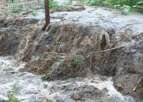 Deslizamientos de tierra han afectado varias viviendas en Boquete 