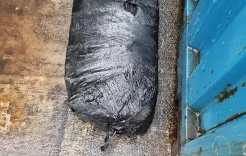 Decomisan 35 paquetes con droga dentro de un contenedor 