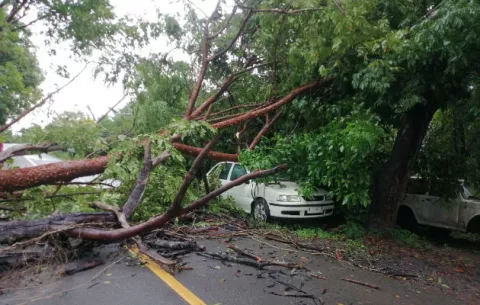 Fuertes lluvias provocan  afectaciones en Las Tablas y Guararé, provincia de Los Santos 