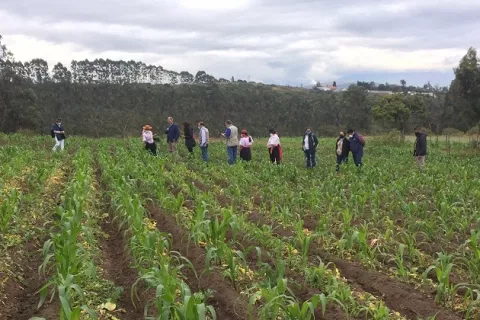 Nobel de la Paz reconoce la labor del Programa Mundial de Alimentos para combatir el hambre y la guerra