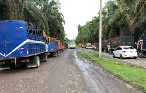 Dos personas golpeadas con arma de fuego en robo a una extractora de aceite en la Esperanza de Barú