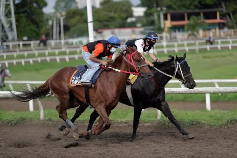 La hípica rompe la inactividad deportiva en Panamá causada por la COVID-19