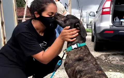 Rescate de animales, un acto de humanidad que tiene un alto costo y responsabilidad
