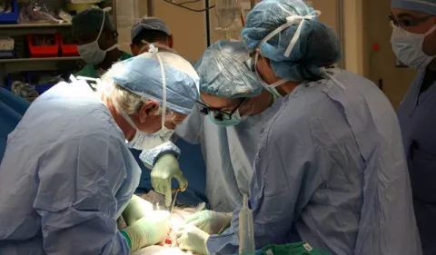 Una panacea para los pacientes con riñones poliquísticos grandes 