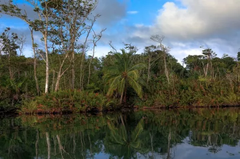 MiAmbiente anuncia reapertura al público de segundo grupo de áreas protegidas