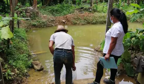 Familias del distrito Omar Torrijos Herrera, de la provincia de Colón, crían  peces que les  provee proteínas e ingresos económicos