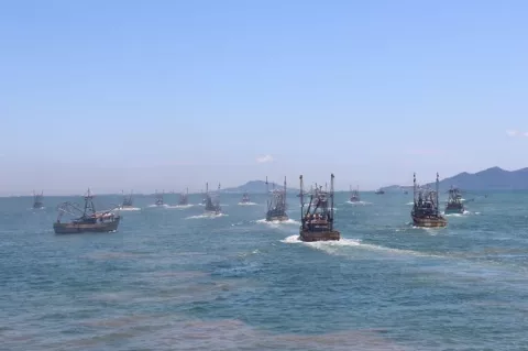ONG expresan rechazo por exclusión de la Comisión Nacional de Pesca Responsable