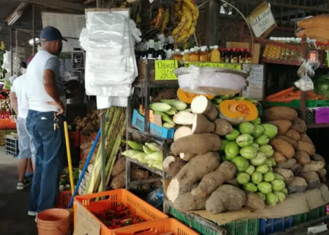 Productores agropecuarios coclesanos reactivan ventas en sede provincial del Mida