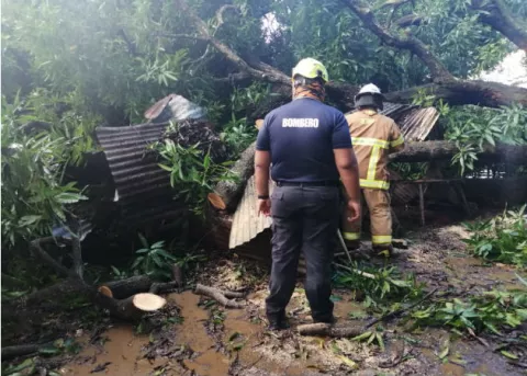 Inundaciones tras fuertes lluvias afectan cuatro casas en La Corocita de Tonosí 