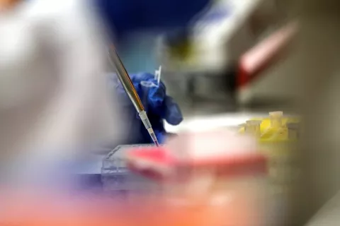 Farmaceútica Pfizer asegura que la política no afectará el desarrollo de la vacuna
