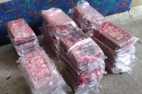 Jueza de garantías en Chiriquí ordena la detención provisional a un sujeto por posesión agravada de droga
