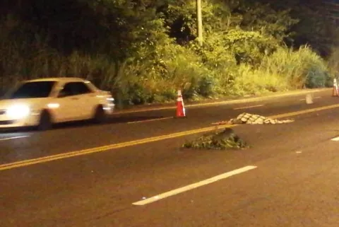 Adulto mayor muere atropellado al tratar de cruzar cuatro carriles en la carretera Panamá-Colón
